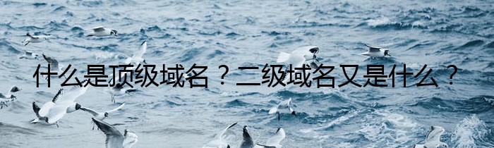 什么是顶级域名？二级域名又是什么？