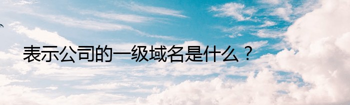 表示公司的一级域名是什么？