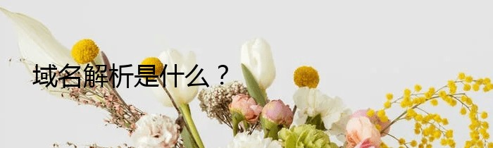 域名解析是什么？