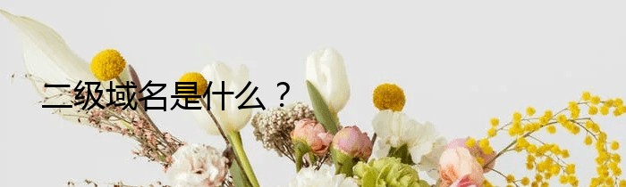 二级域名是什么？