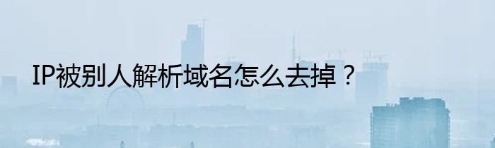 IP被别人解析域名怎么去掉？