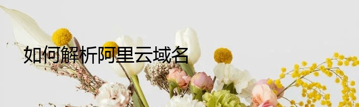 如何解析阿里云域名