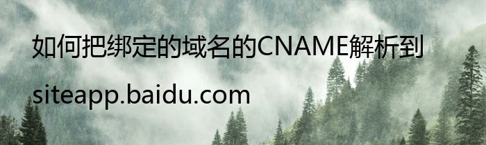 如何把绑定的域名的CNAME解析到siteapp.baidu.com