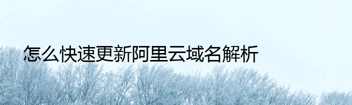 怎么快速更新阿里云域名解析