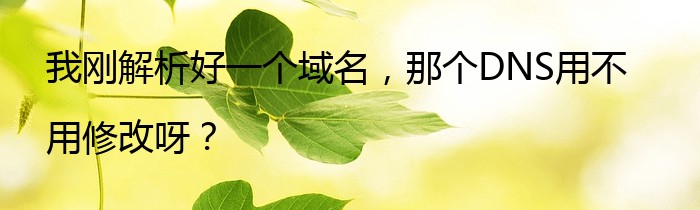 我刚解析好一个域名，那个DNS用不用修改呀？