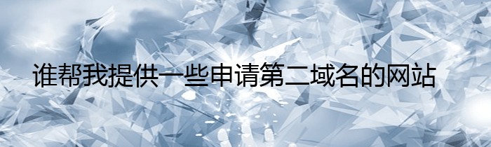 谁帮我提供一些申请第二域名的网站