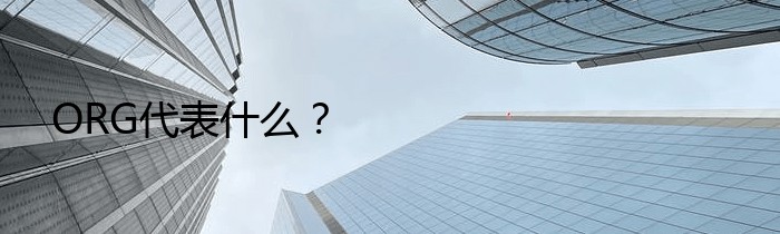 ORG代表什么？