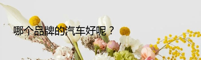 哪个品牌的汽车好呢？