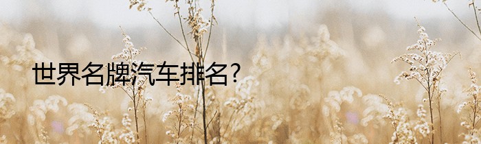 世界名牌汽车排名?