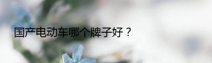 国产电动车哪个牌子好？