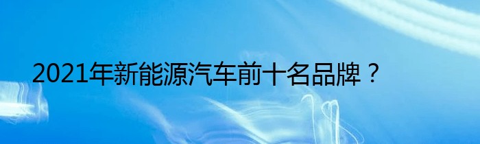 2021年新能源汽车前十名品牌？