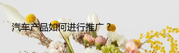 汽车产品如何进行推广？