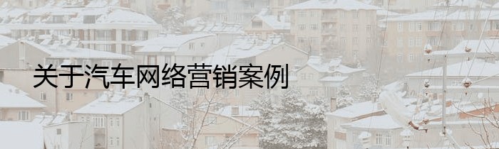 关于汽车网络营销案例