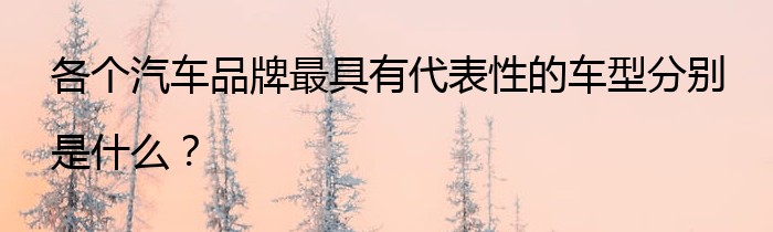 各个汽车品牌最具有代表性的车型分别是什么？