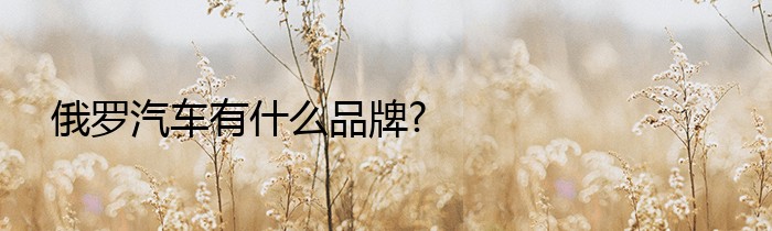 俄罗汽车有什么品牌?