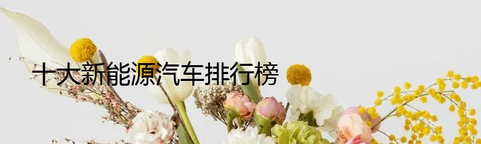 十大新能源汽车排行榜