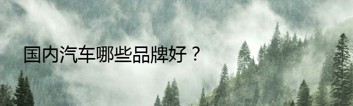 国内汽车哪些品牌好？