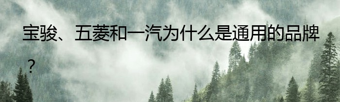 宝骏、五菱和一汽为什么是通用的品牌？