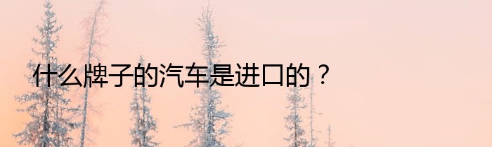 什么牌子的汽车是进口的？