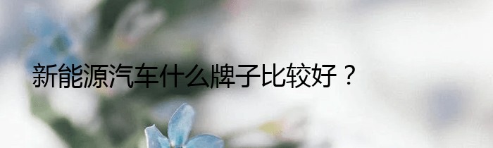 新能源汽车什么牌子比较好？