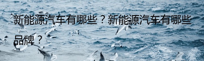 新能源汽车有哪些？新能源汽车有哪些品牌？