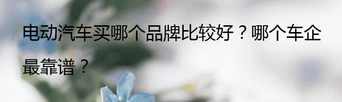 电动汽车买哪个品牌比较好？哪个车企最靠谱？