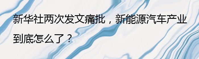 新华社两次发文痛批，新能源汽车产业到底怎么了？