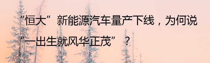 “恒大”新能源汽车量产下线，为何说“一出生就风华正茂”？