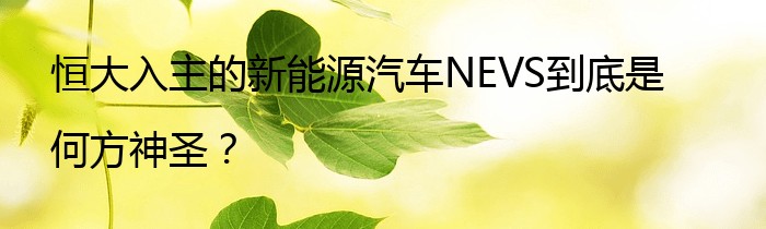 恒大入主的新能源汽车NEVS到底是何方神圣？