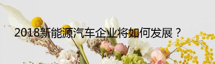 2018新能源汽车企业将如何发展？