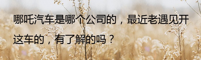 哪吒汽车是哪个公司的，最近老遇见开这车的，有了解的吗？