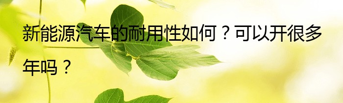 新能源汽车的耐用性如何？可以开很多年吗？