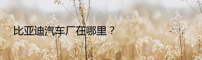 比亚迪汽车厂在哪里？