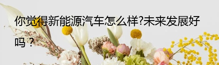 你觉得新能源汽车怎么样?未来发展好吗？