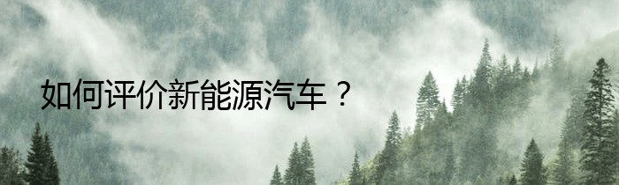 如何评价新能源汽车？