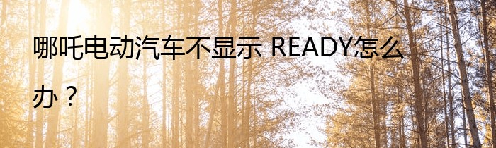 哪吒电动汽车不显示 READY怎么办？