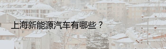 上海新能源汽车有哪些？