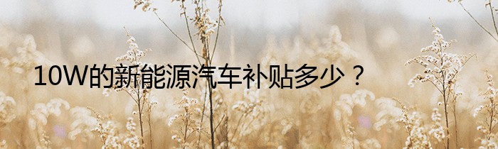 10W的新能源汽车补贴多少？