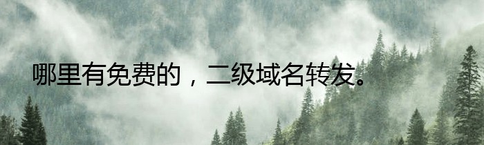 哪里有免费的，二级域名转发。