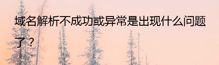 域名解析不成功或异常是出现什么问题了？