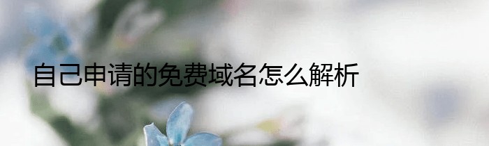 自己申请的免费域名怎么解析