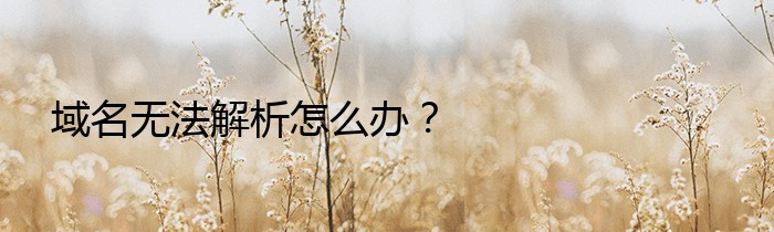 域名无法解析怎么办？