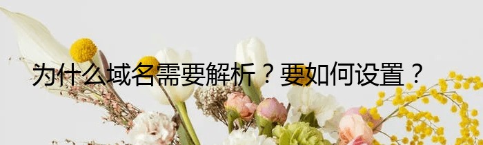 为什么域名需要解析？要如何设置？