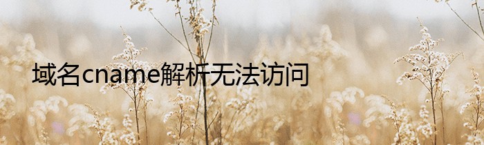 域名cname解析无法访问