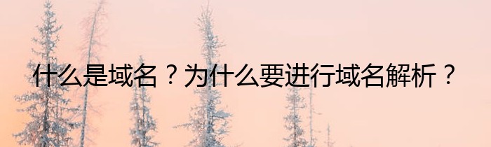 什么是域名？为什么要进行域名解析？