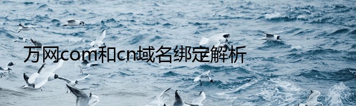 万网com和cn域名绑定解析