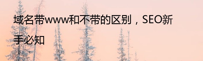 域名带www和不带的区别，SEO新手必知