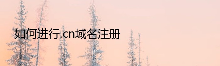 如何进行.cn域名注册