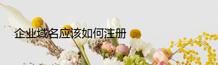 企业域名应该如何注册