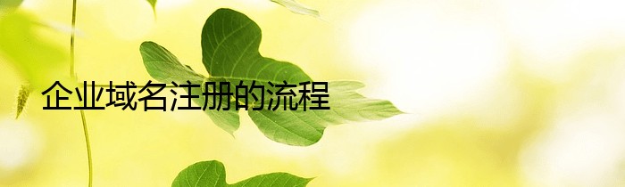 企业域名注册的流程